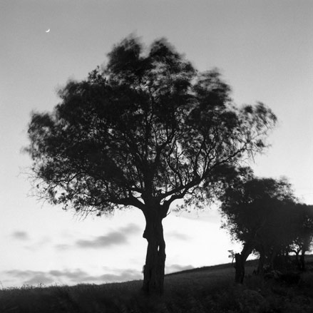 08