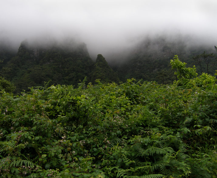 m01-fi592242