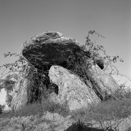 09