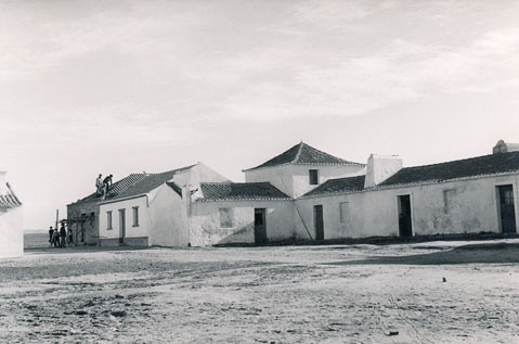 covo_or