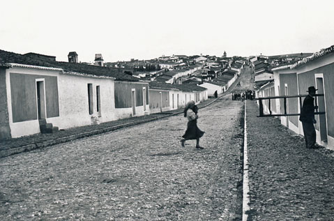 amareleja_or