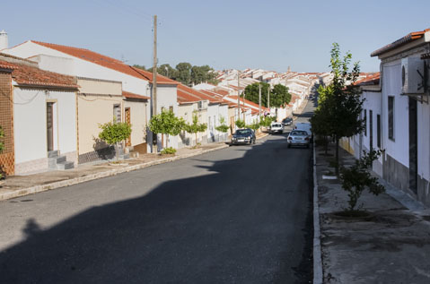 amareleja_db